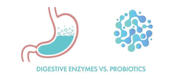 digestive enzymes vs. probiotics