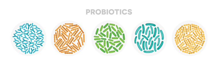 what is the difference between prebiotics and probiotics